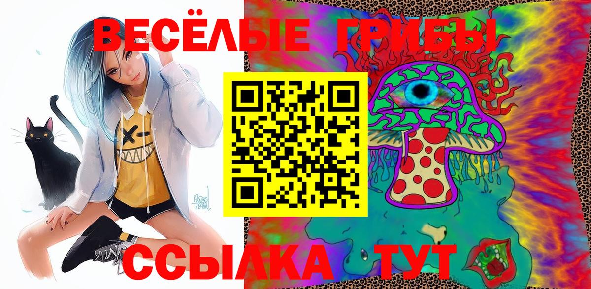 Галлюциногенные грибы Cubensis Чита