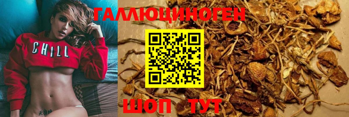 Чита  Галлюциногенные грибы GOLDEN TEACHER  Вход с VPN 